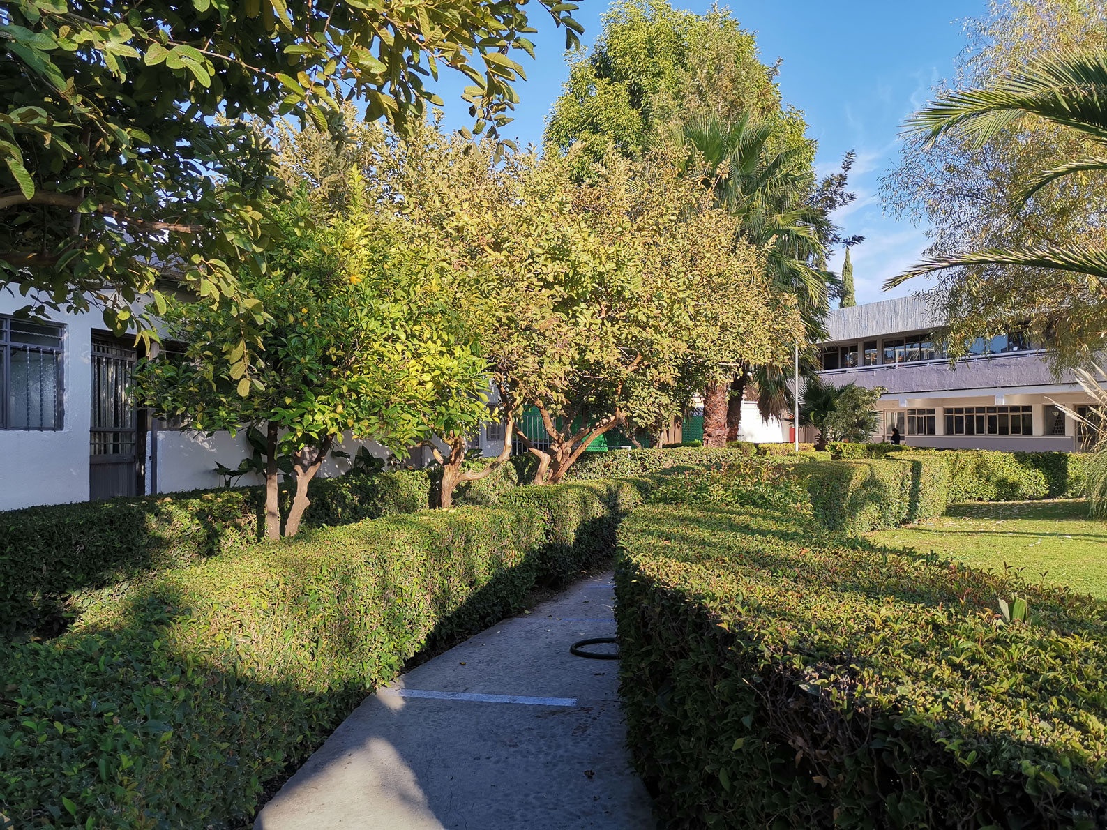 Área-de-Bachillerato